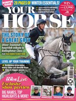 Your Horse